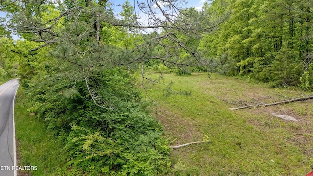 6010 Happy Valley Rd, Tallassee, TN 37878 - photo 15