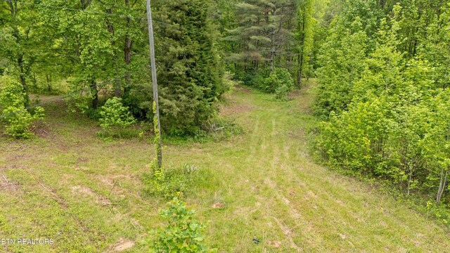 6010 Happy Valley Rd, Tallassee, TN 37878 - photo 17