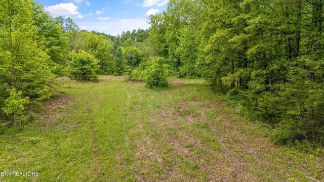 6010 Happy Valley Rd, Tallassee, TN 37878 - photo 18