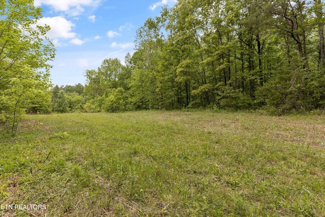 6010 Happy Valley Rd, Tallassee, TN 37878 - photo 19