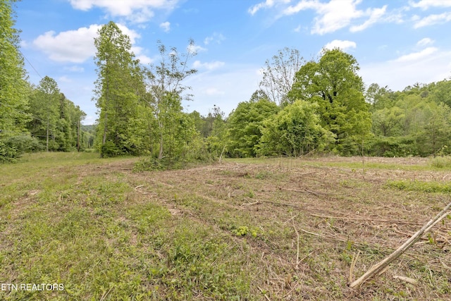 6010 Happy Valley Rd, Tallassee, TN 37878 - photo 20