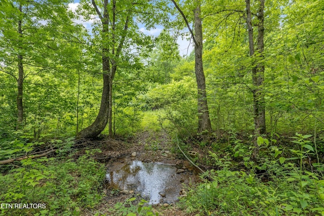 6010 Happy Valley Rd, Tallassee, TN 37878 - photo 21