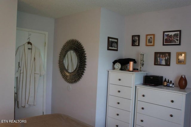 281 Moytoy Rd Unit 206, Crab Orchard, TN 37723 - view of bedroom
