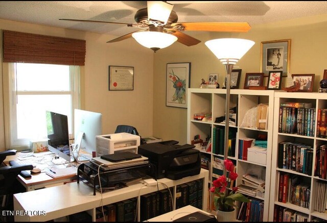 281 Moytoy Rd Unit 206, Crab Orchard, TN 37723 - office space with a ceiling fan