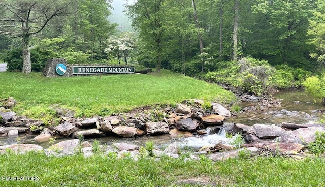 281 Moytoy Rd Unit 206, Crab Orchard, TN 37723 - view of yard with a wooded view