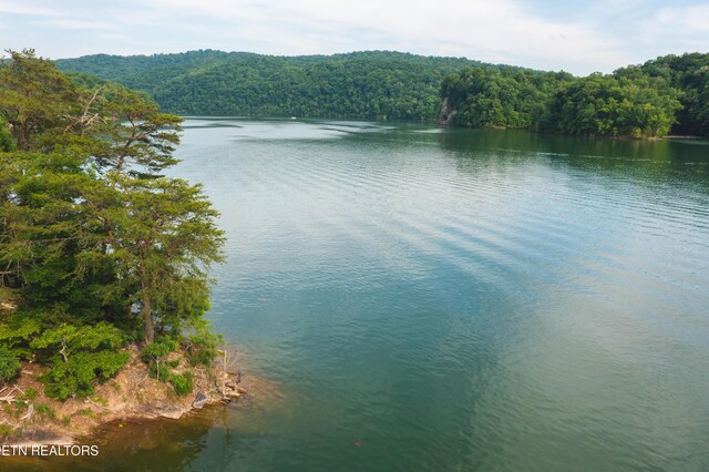 LOT161 Whistle Valley Rd, New Tazewell, TN 37825