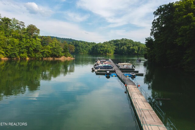 LOT161 Whistle Valley Rd, New Tazewell, TN 37825