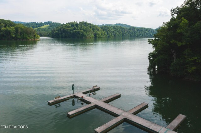 LOT161 Whistle Valley Rd, New Tazewell, TN 37825
