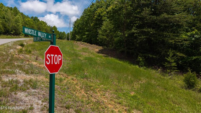 LOT161 Whistle Valley Rd, New Tazewell, TN 37825