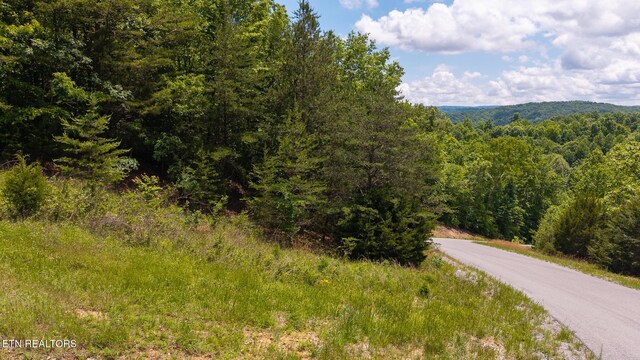 LOT161 Whistle Valley Rd, New Tazewell, TN 37825