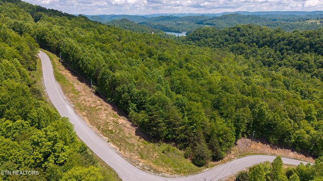 LOT161 Whistle Valley Rd, New Tazewell, TN 37825