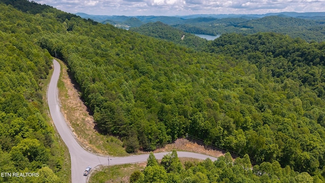 LOT161 Whistle Valley Rd, New Tazewell, TN 37825