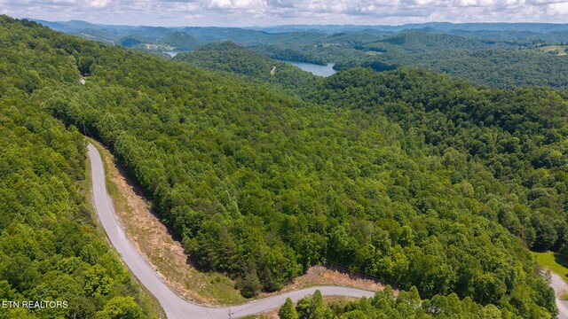 LOT161 Whistle Valley Rd, New Tazewell, TN 37825