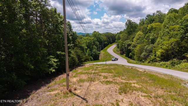 LOT161 Whistle Valley Rd, New Tazewell, TN 37825