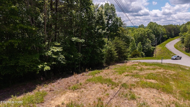 LOT161 Whistle Valley Rd, New Tazewell, TN 37825