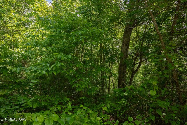 LOT161 Whistle Valley Rd, New Tazewell, TN 37825