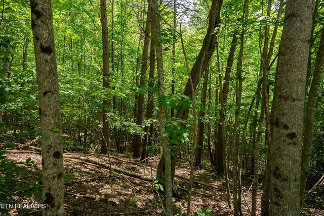 LOT161 Whistle Valley Rd, New Tazewell, TN 37825
