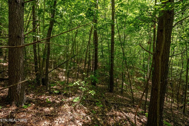 LOT161 Whistle Valley Rd, New Tazewell, TN 37825