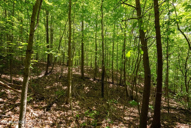 LOT161 Whistle Valley Rd, New Tazewell, TN 37825