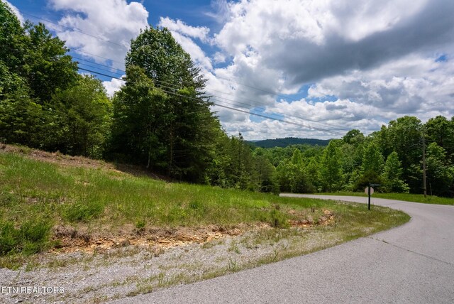 LOT161 Whistle Valley Rd, New Tazewell, TN 37825