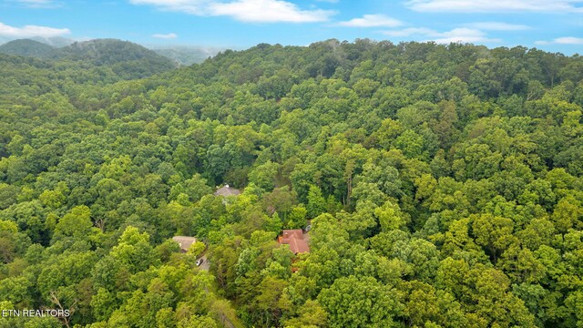 1445 Estates Dr, Seymour, TN 37865 - photo 35