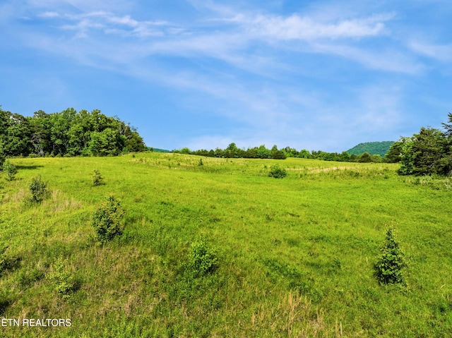 Cummings Chapel Rd, Sevierville, TN 37876
