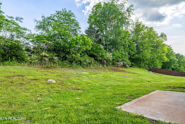 350 Hartfield Ln, Loudon, TN 37774 - view of yard with a patio