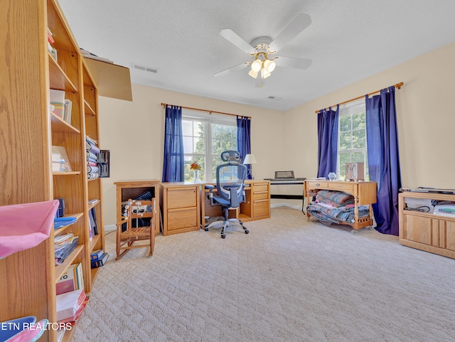 office space with carpet, plenty of natural light, ceiling fan, and a textured ceiling