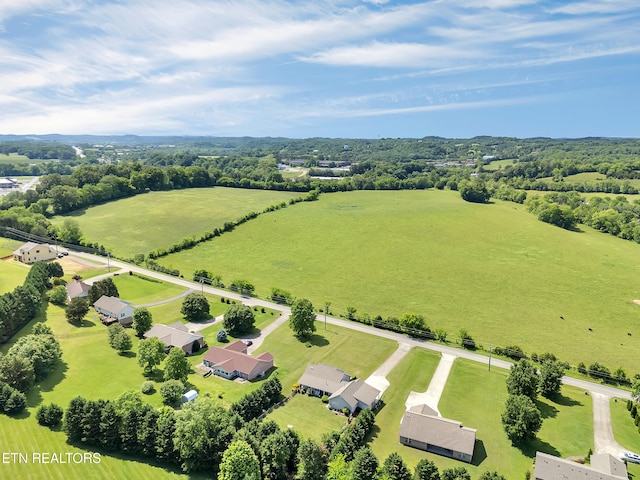overview of rural landscape with a pastoral area