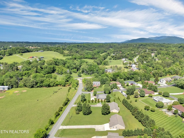 bird's eye view