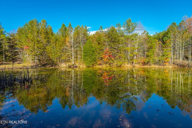 450 Hickory Rd, Spring City, TN 37381