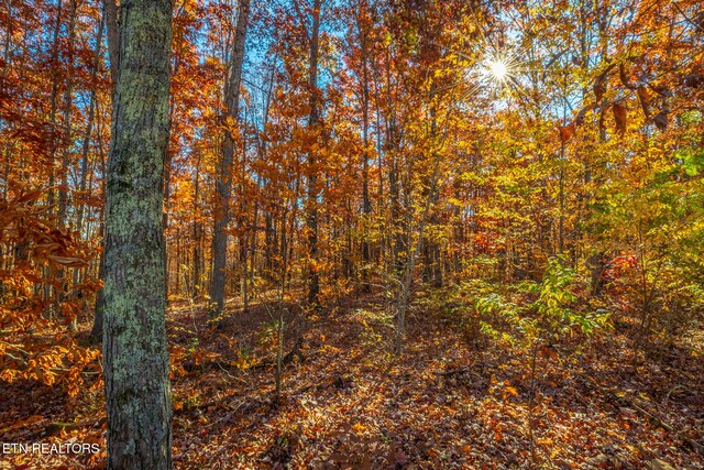 450 Hickory Rd, Spring City, TN 37381