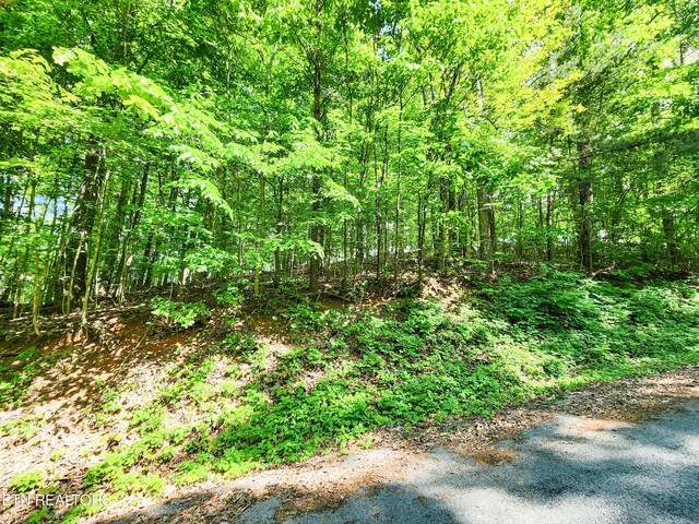 208 Sara Ln, Maynardville, TN 37807 - photo 3