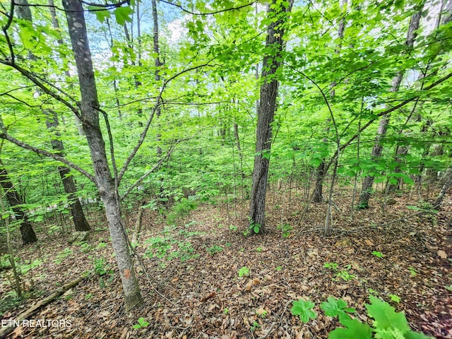 208 Sara Ln, Maynardville, TN 37807 - photo 4