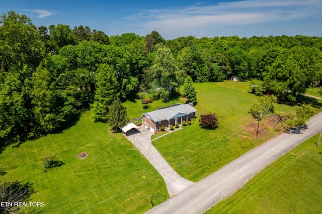 1328 Hillvale Rd, Louisville, TN 37777 - photo 44