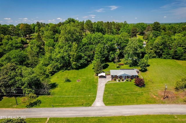 1328 Hillvale Rd, Louisville, TN 37777 - photo 45