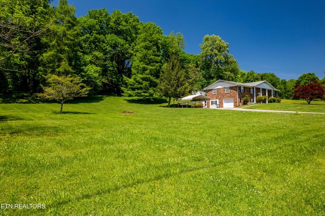 1328 Hillvale Rd, Louisville, TN 37777 - photo 4