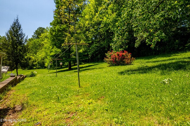 1328 Hillvale Rd, Louisville, TN 37777 - photo 38