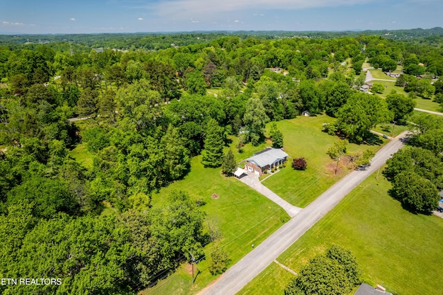 1328 Hillvale Rd, Louisville, TN 37777 - photo 43