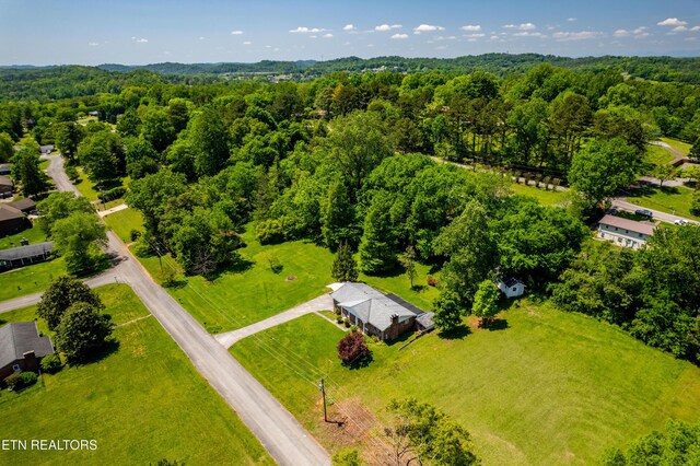 1328 Hillvale Rd, Louisville, TN 37777 - photo 47