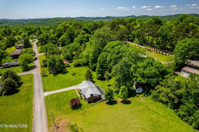 1328 Hillvale Rd, Louisville, TN 37777 - photo 48