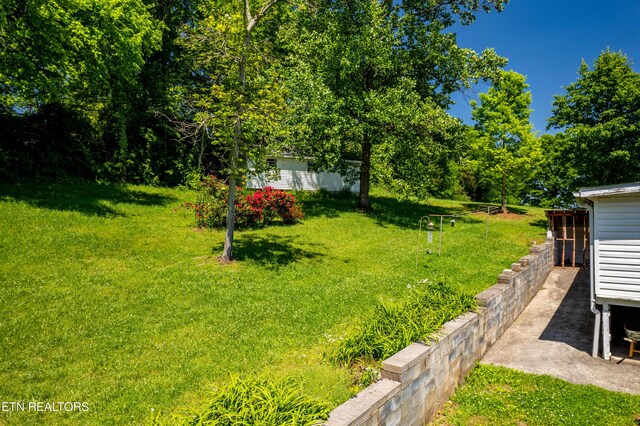 1328 Hillvale Rd, Louisville, TN 37777 - photo 39