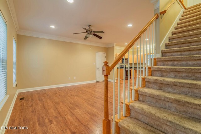 5419 Rosebay Rd, Knoxville, TN 37918 - photo 5