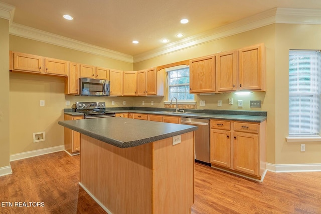 5419 Rosebay Rd, Knoxville, TN 37918 - photo 8