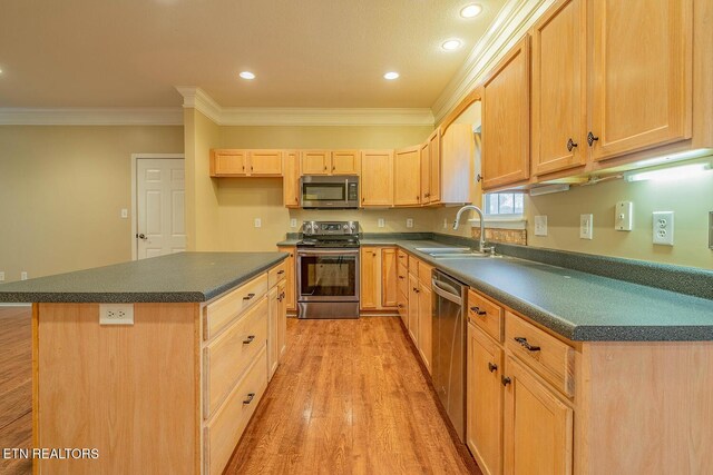 5419 Rosebay Rd, Knoxville, TN 37918 - photo 9