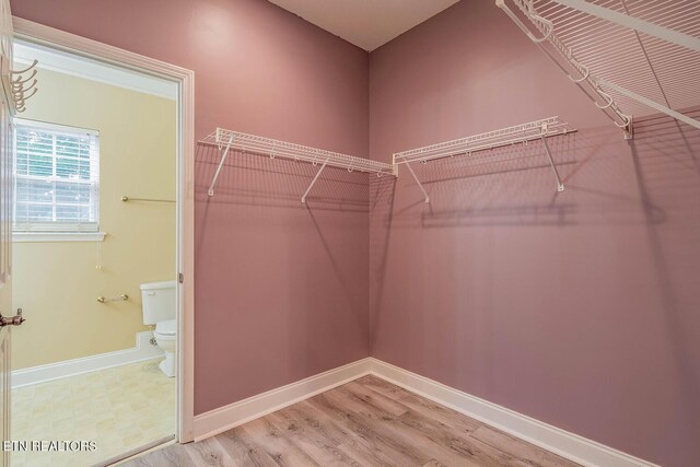 5419 Rosebay Rd, Knoxville, TN 37918 - photo 16