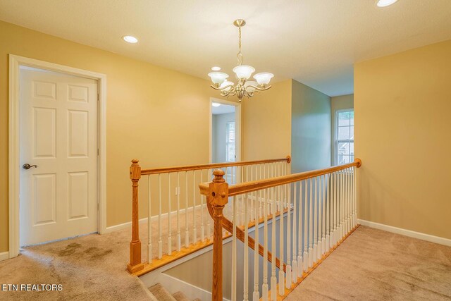 5419 Rosebay Rd, Knoxville, TN 37918 - photo 20