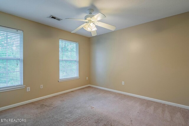 5419 Rosebay Rd, Knoxville, TN 37918 - photo 28