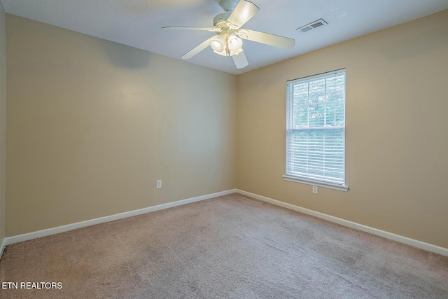 5419 Rosebay Rd, Knoxville, TN 37918 - photo 29