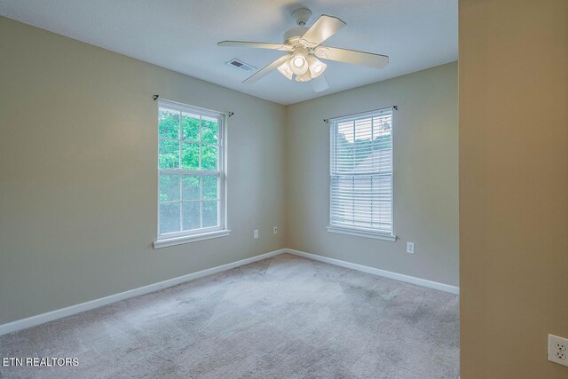 5419 Rosebay Rd, Knoxville, TN 37918 - photo 26